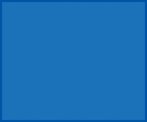 2cnp-banner-300x250-finalgif
